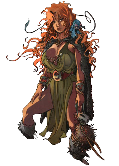 Pélisse