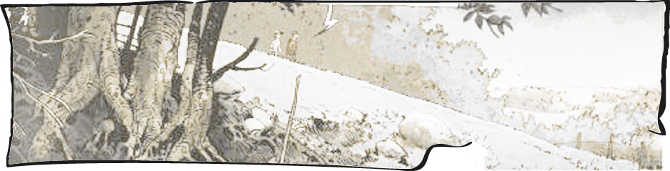 planche ambiance Grand Mort